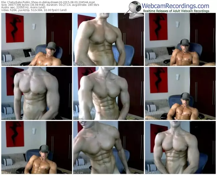 chaturbate-delreydream26-public-show-08_03_2015-20_45_44