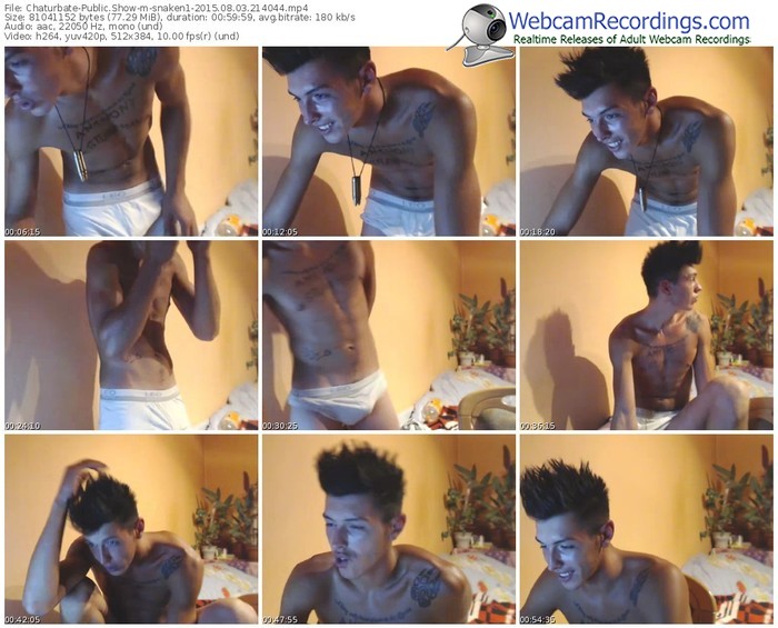 chaturbate-snaken1-public-show-08_03_2015-21_40_44