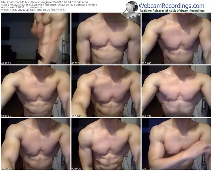 chaturbate-engineer95-public-show-08_04_2015-01_25_48