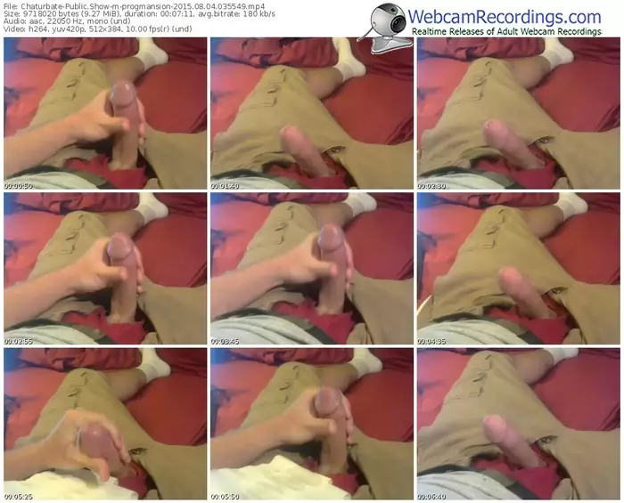 chaturbate-progmansion-public-show-08_04_2015-03_55_49