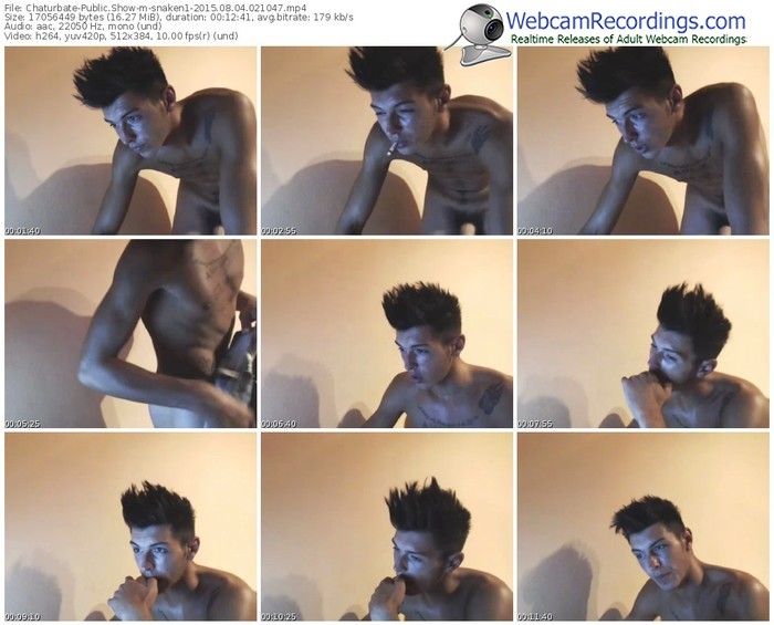 chaturbate-snaken1-public-show-08_04_2015-02_10_47