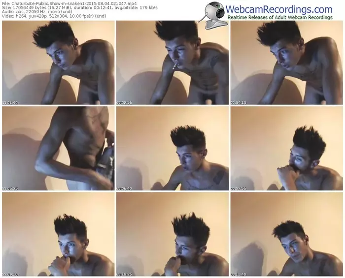 chaturbate-snaken1-public-show-08_04_2015-02_10_47