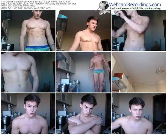 chaturbate-bigdick3246-public-show-08_08_2015-15_09_39