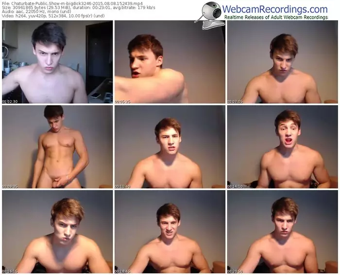 chaturbate-bigdick3246-public-show-08_08_2015-15_24_39