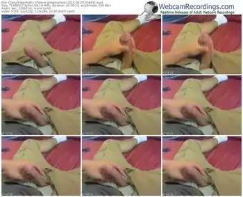 chaturbate-progmansion-public-show-08_09_2015-00_44_51