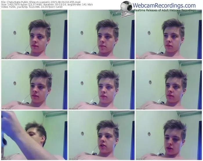 chaturbate-vupsen1-public-show-08_09_2015-02_14_55