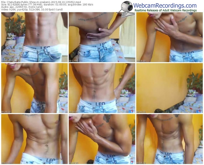 chaturbate-snaken1-public-show-08_10_2015-13_50_52