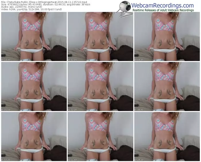 chaturbate-littlegingertwat-public-show-08_11_2015-13_57_22