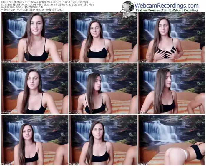 chaturbate-nolimitscoupl3-public-show-08_11_2015-20_32_30