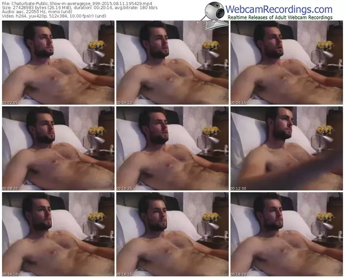 chaturbate-averagejoe_999-public-show-08_11_2015-19_54_29