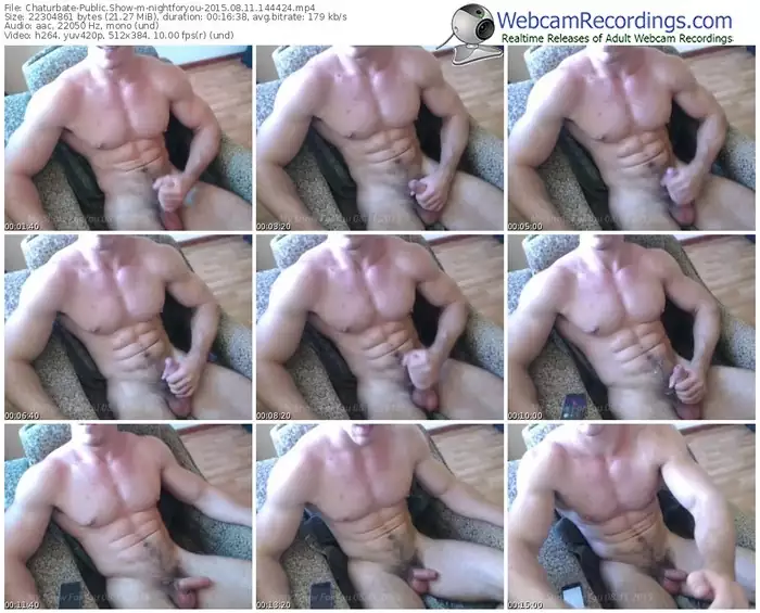 chaturbate-nightforyou-public-show-08_11_2015-14_44_24