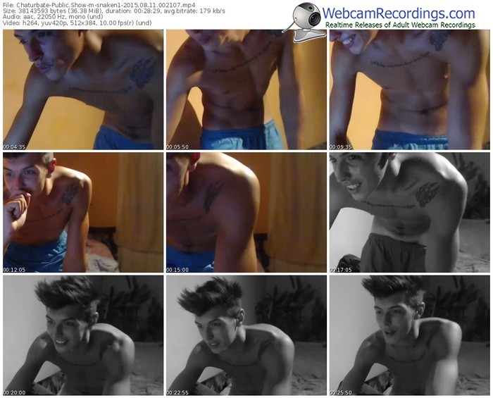 chaturbate-snaken1-public-show-08_11_2015-00_21_07