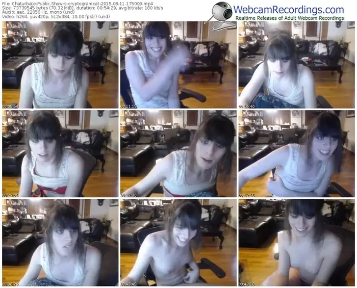 chaturbate-cryptogramcat-public-show-08_11_2015-17_50_09