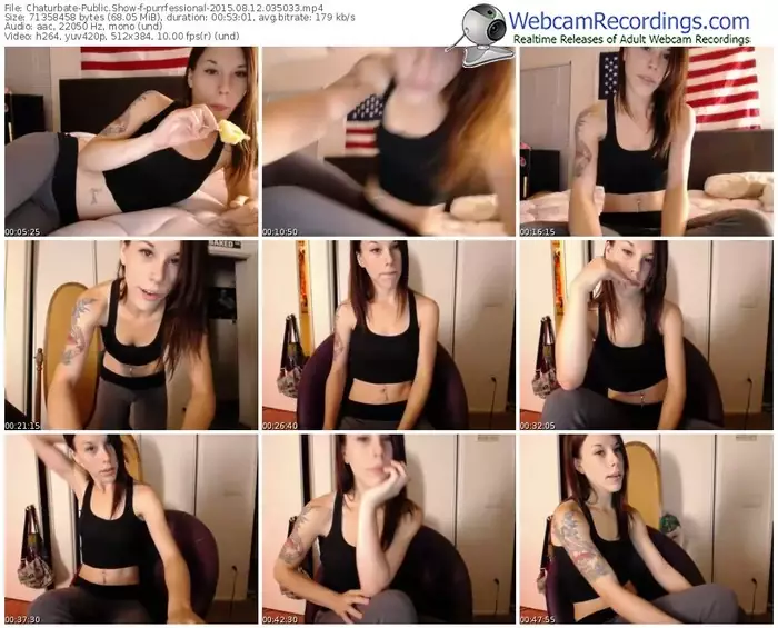 chaturbate-purrfessional-public-show-08_12_2015-03_50_33