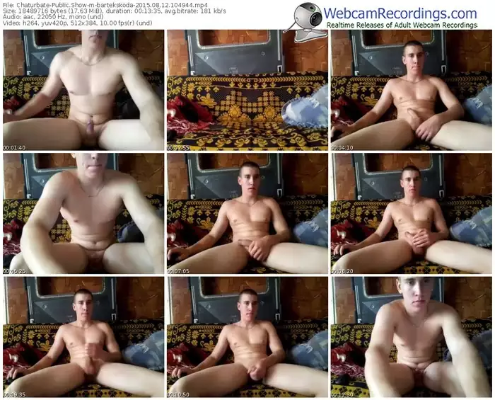 chaturbate-bartekskoda-public-show-08_12_2015-10_49_44
