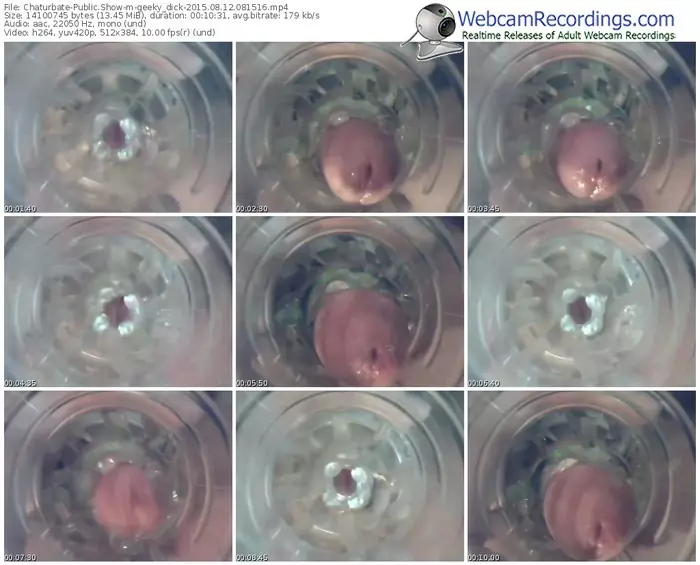 chaturbate-geeky_dick-public-show-08_12_2015-08_15_16