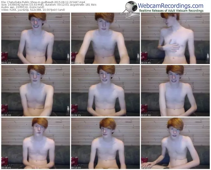 chaturbate-gudheadt-public-show-08_12_2015-21_54_47