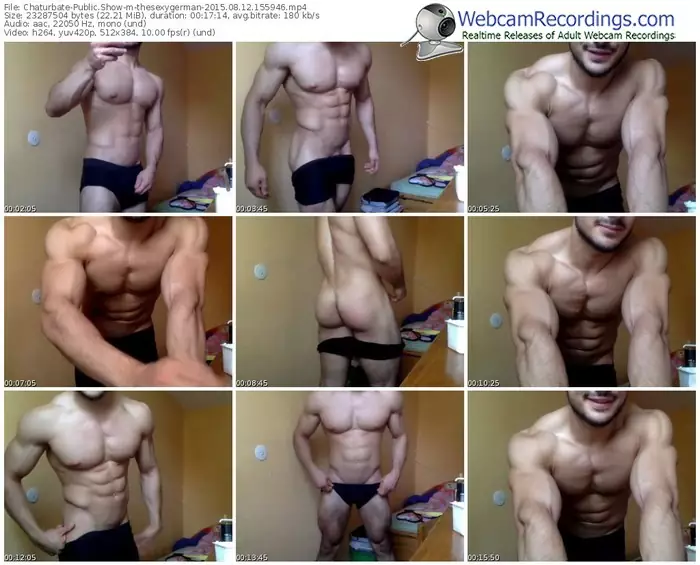 chaturbate-thesexygerman-public-show-08_12_2015-15_59_46