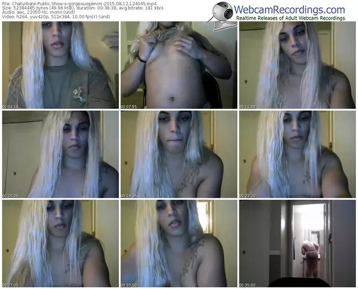 chaturbate-gorgeousgemini-public-show-08_12_2015-12_40_45