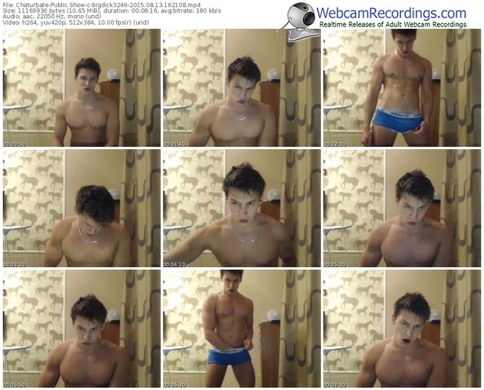 chaturbate-bigdick3246-public-show-08_13_2015-16_21_08
