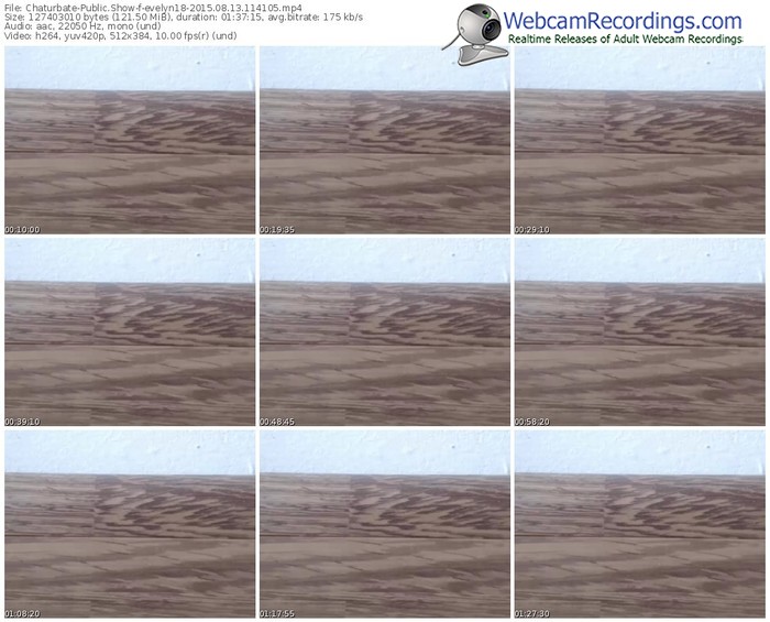chaturbate-evelyn18-public-show-08_13_2015-11_41_05
