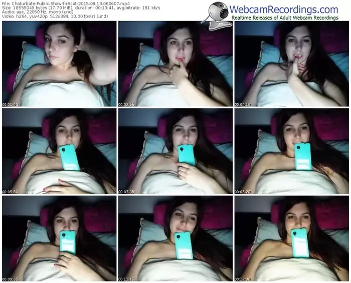 chaturbate-r6cat-public-show-08_13_2015-06_06_07