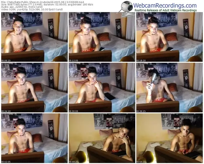 chaturbate-2cute2wild-public-show-08_13_2015-03_09_48