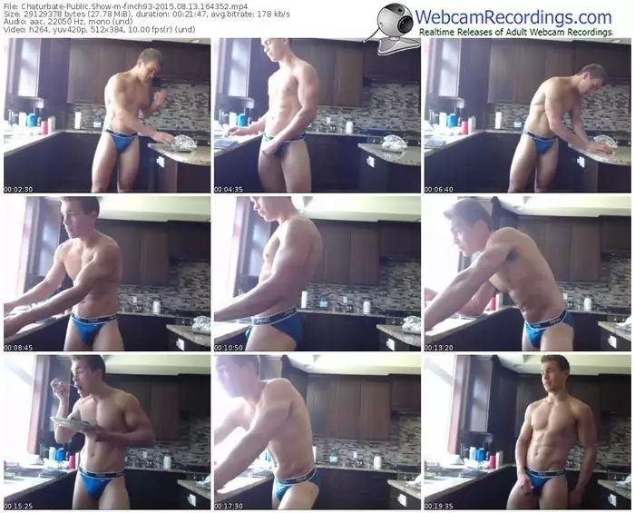 chaturbate-finch93-public-show-08_13_2015-16_43_52