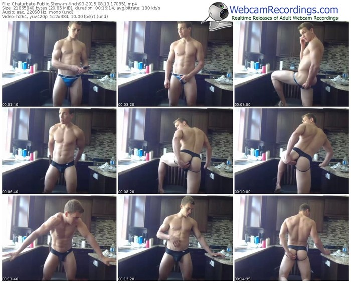 chaturbate-finch93-public-show-08_13_2015-17_08_51
