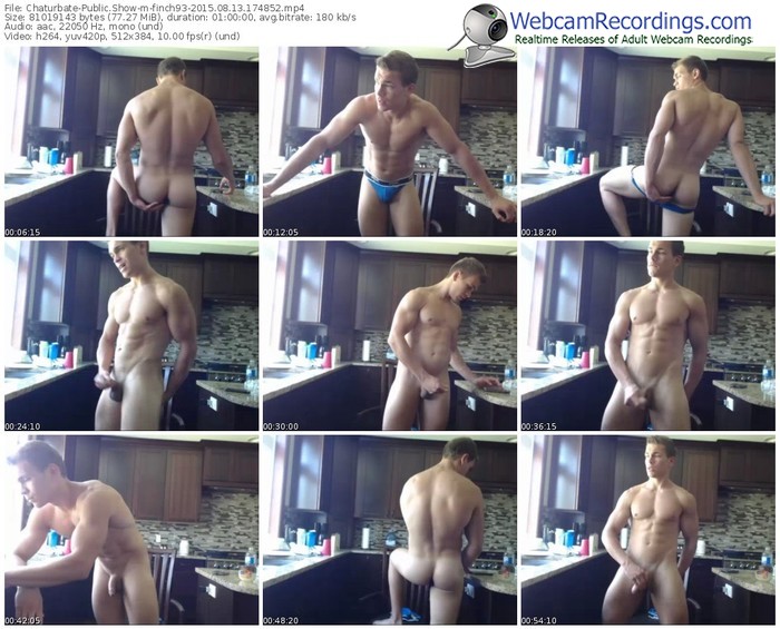 chaturbate-finch93-public-show-08_13_2015-17_48_52