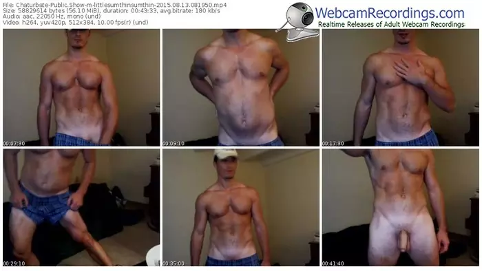 chaturbate-littlesumthinsumthin-public-show-08_13_2015-08_19_50