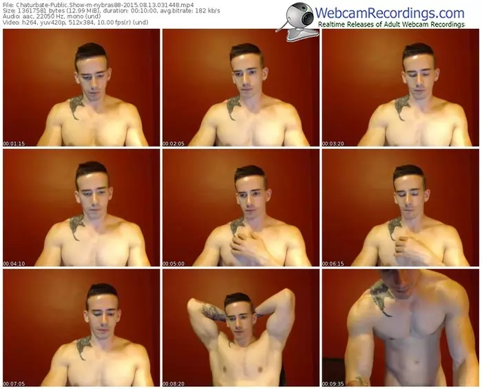 chaturbate-nybras88-public-show-08_13_2015-03_14_48