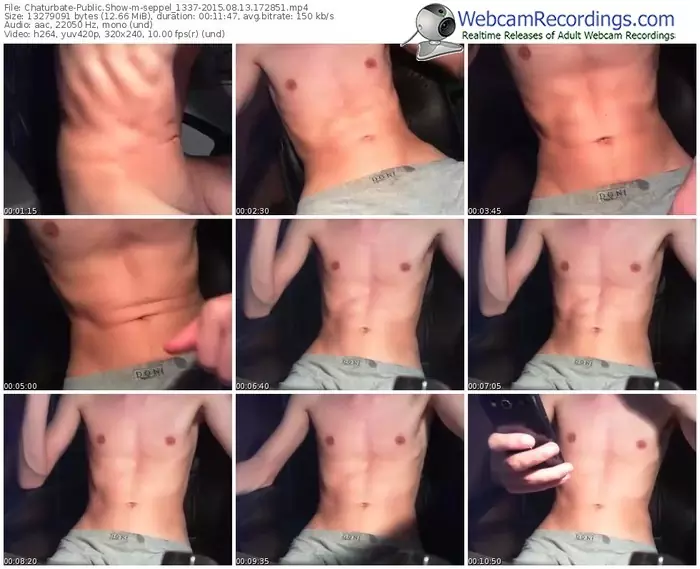 chaturbate-seppel_1337-public-show-08_13_2015-17_28_51
