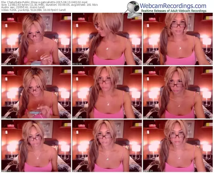 chaturbate-gaticahotts-public-show-08_13_2015-04_01_02