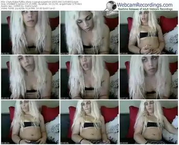 chaturbate-gorgeousgemini-public-show-08_13_2015-00_46_03