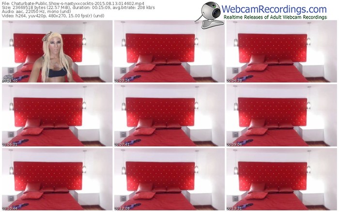 chaturbate-nastyxxcockts-public-show-08_13_2015-01_46_02