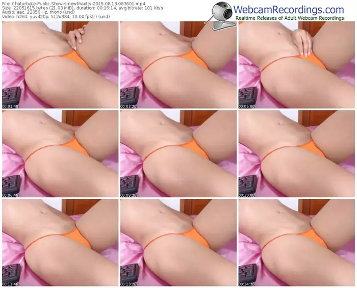 chaturbate-newthaelts-public-show-08_13_2015-08_36_01