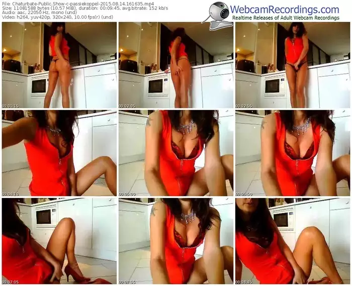 chaturbate-passiekoppel-public-show-08_14_2015-16_16_35