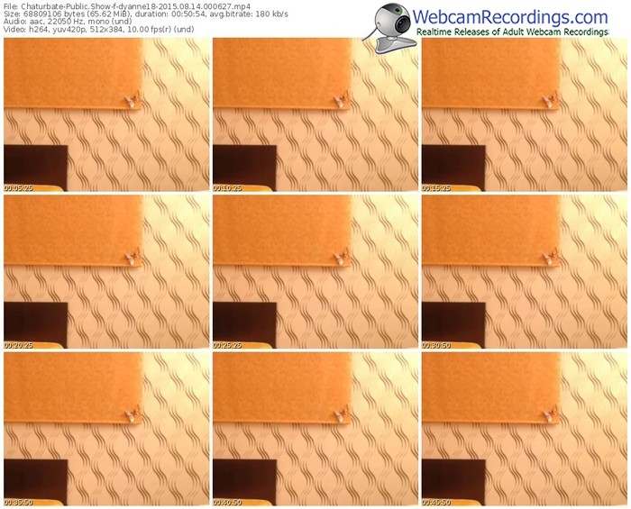 chaturbate-dyanne18-public-show-08_14_2015-00_06_27