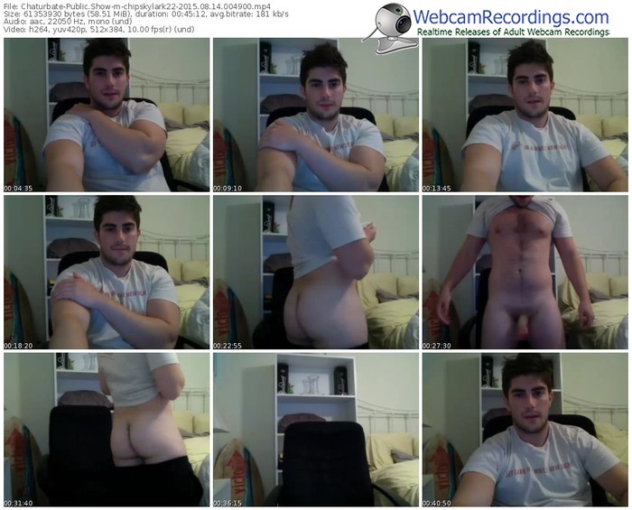 chaturbate-chipskylark22-public-show-08_14_2015-00_49_00