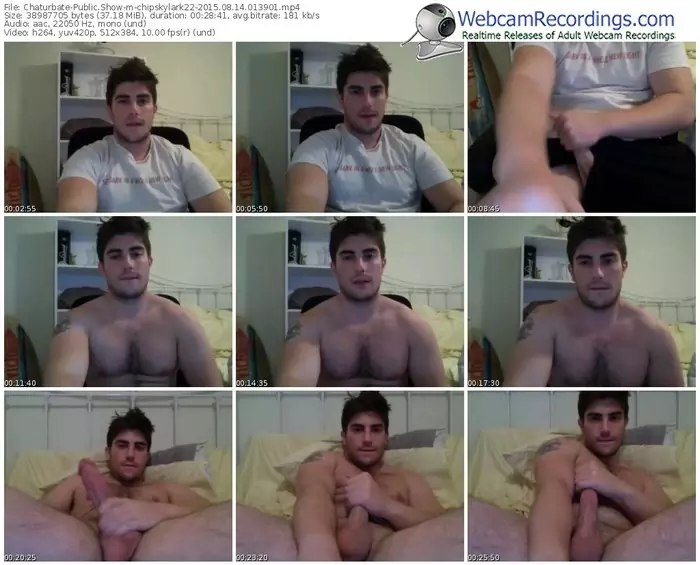 chaturbate-chipskylark22-public-show-08_14_2015-01_39_01