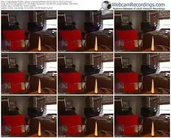 chaturbate-tinasmithson-public-show-08_15_2015-22_37_10