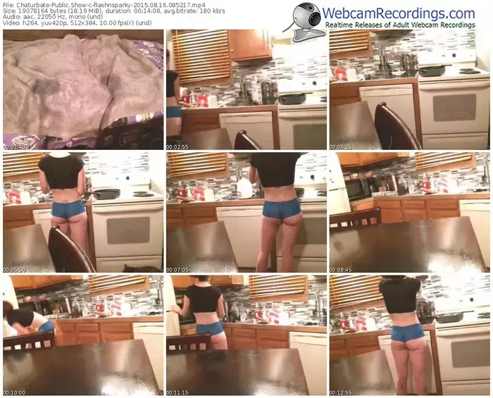 chaturbate-flashnsparky-public-show-08_16_2015-08_52_17