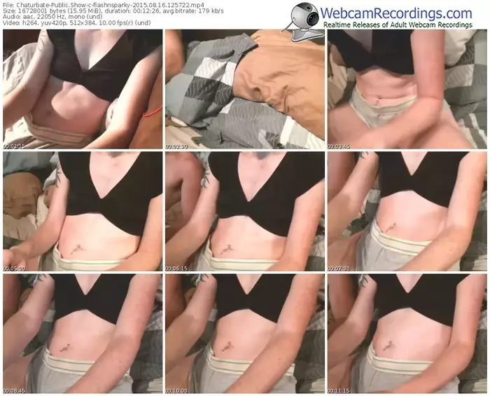 chaturbate-flashnsparky-public-show-08_16_2015-12_57_22