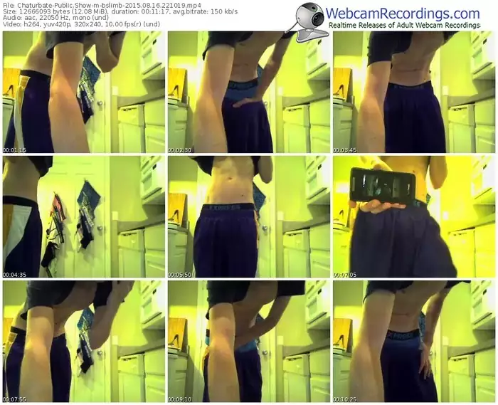 chaturbate-bslimb-public-show-08_16_2015-22_10_19