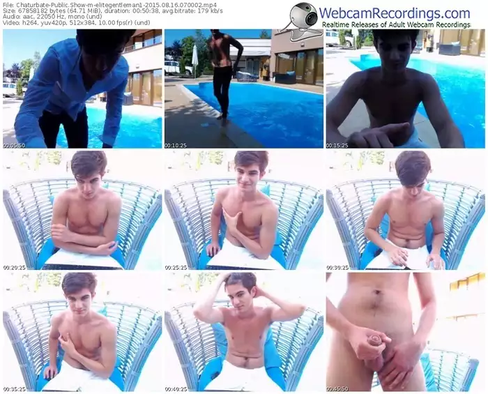 chaturbate-elitegentleman1-public-show-08_16_2015-07_00_02