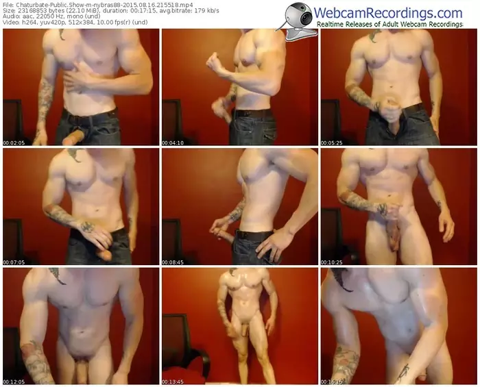 chaturbate-nybras88-public-show-08_16_2015-21_55_18