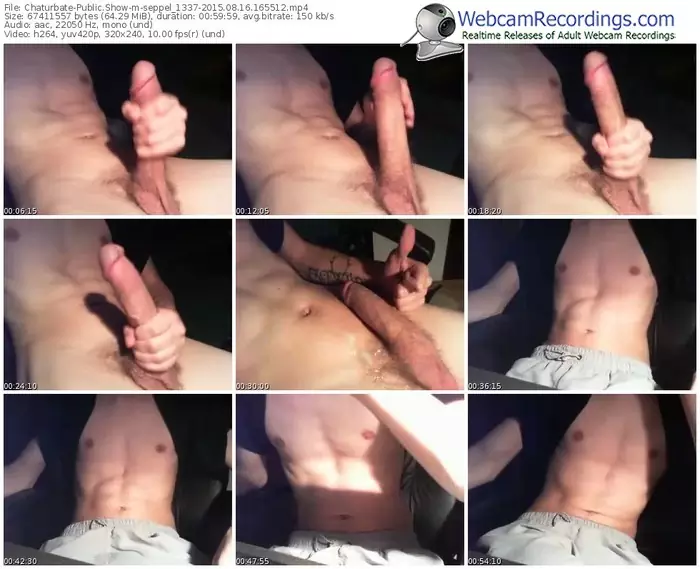 chaturbate-seppel_1337-public-show-08_16_2015-16_55_12