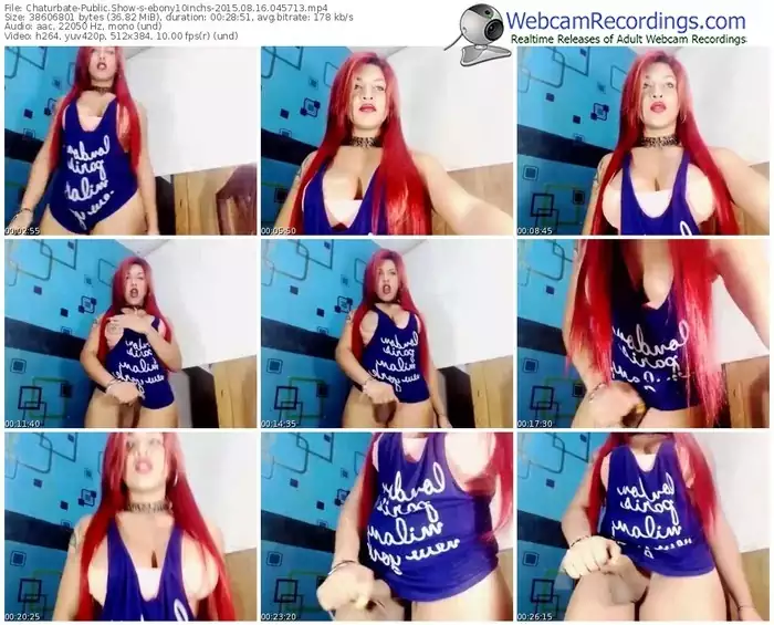 chaturbate-ebony10inchs-public-show-08_16_2015-04_57_13