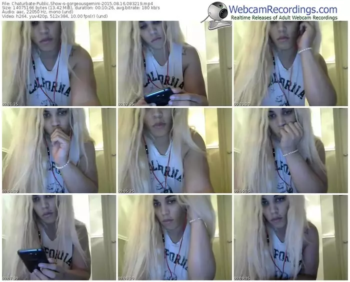 chaturbate-gorgeousgemini-public-show-08_16_2015-08_32_19